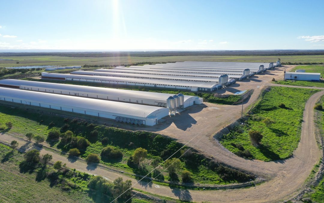 AAM Diversified Agriculture Fund