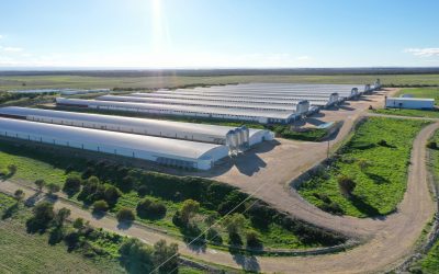 AAM Diversified Agriculture Fund